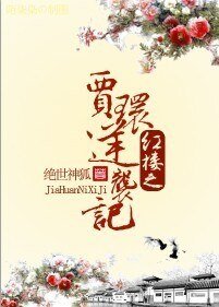 《(BL/洪樓同人)洪樓之賈環逆襲記》