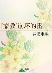 [家教]崩壞的雷