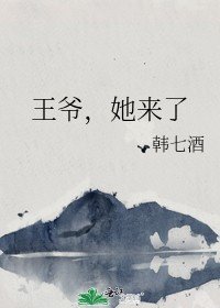 《王爺,她來了》